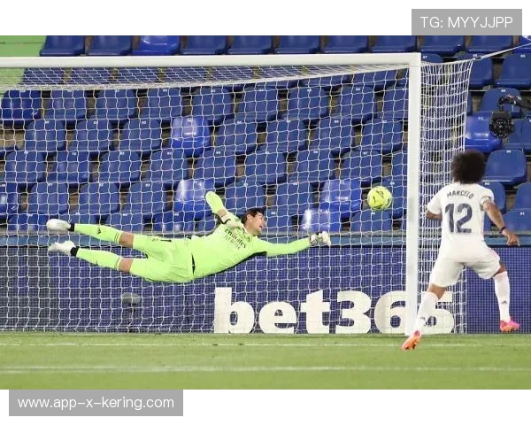 西甲比赛中，专家专栏详解门将扑救成功的战术条件，西甲门将扑救成功率